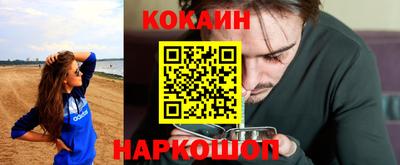твердый Кингисепп